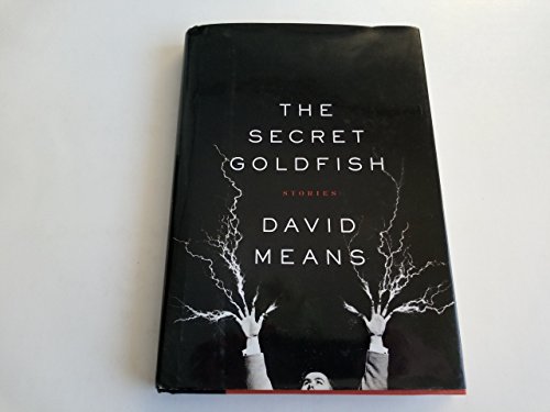 cover image THE SECRET GOLDFISH