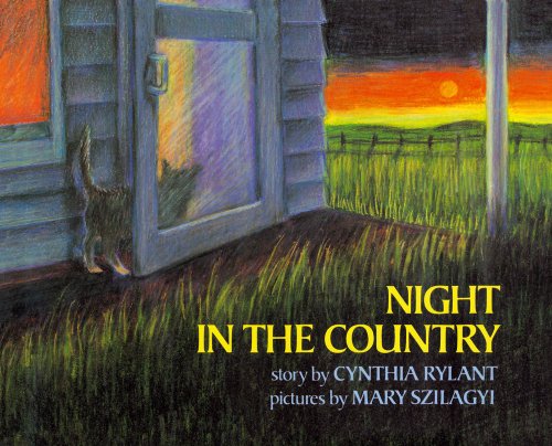 cover image Night in the Country