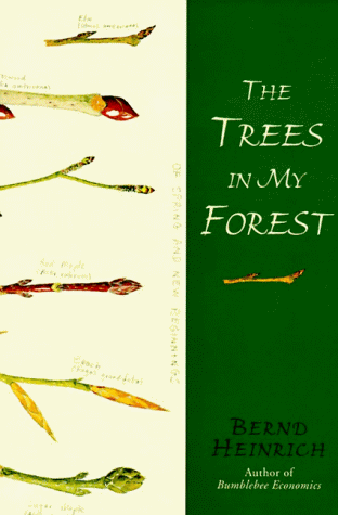 cover image The Trees in My Forest