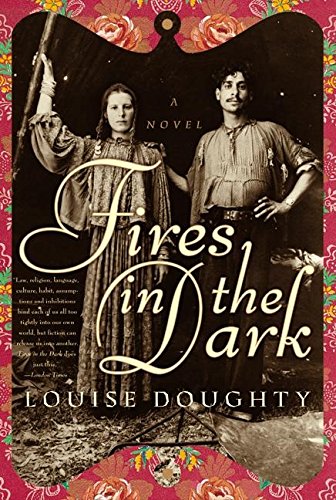 cover image FIRES IN THE DARK