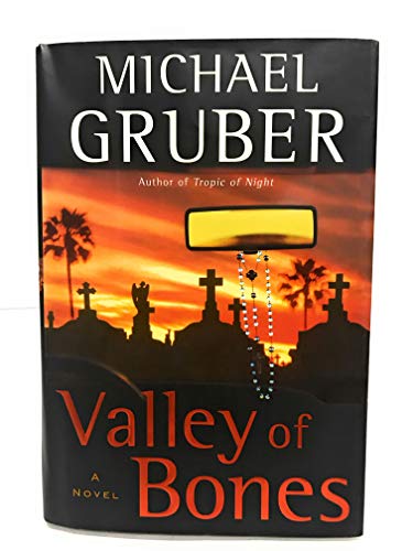 cover image VALLEY OF BONES