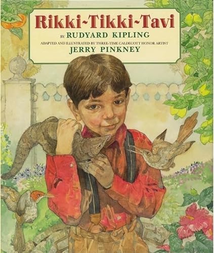 cover image RIKKI-TIKKI-TAVI