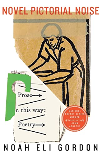 cover image Novel Pictorial Noise