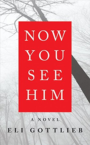 cover image Now You See Him