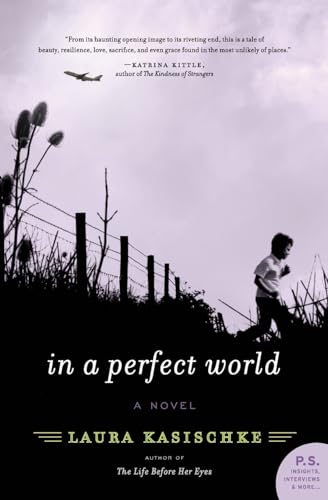 cover image In a Perfect World