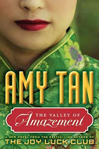 cover image The Valley of Amazement