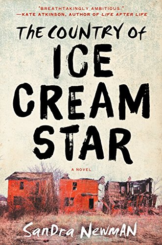 cover image The Country of Ice Cream Star