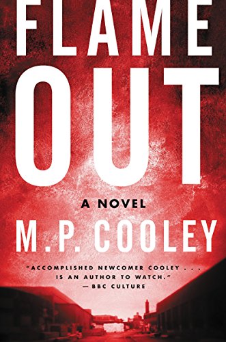 cover image Flame Out