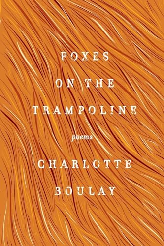 cover image Foxes on the Trampoline