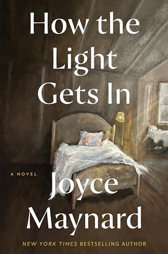 cover image How the Light Gets in