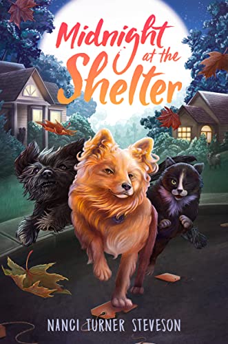 cover image Midnight at the Shelter