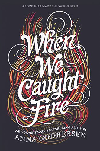 cover image When We Caught Fire