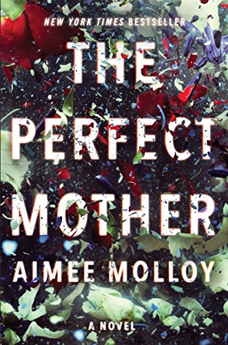 cover image The Perfect Mother