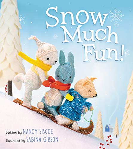 cover image Snow Much Fun!