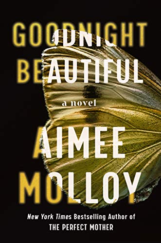 cover image Goodnight Beautiful