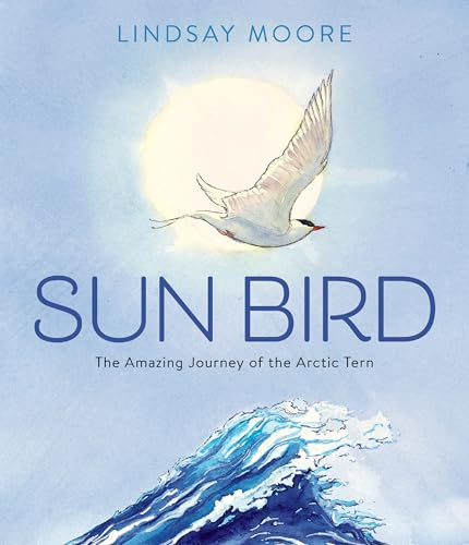 cover image Sun Bird: The Amazing Journey of the Arctic Tern