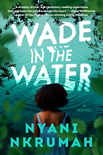 cover image Wade in the Water
