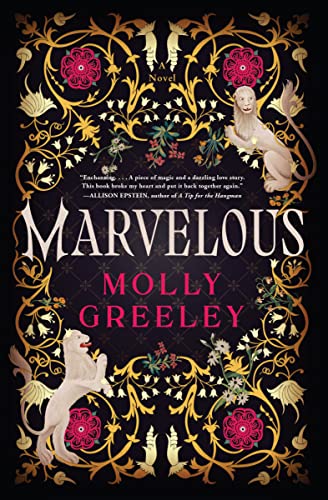 cover image Marvelous