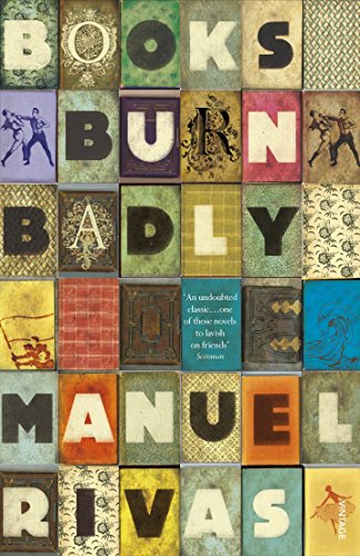 cover image Books Burn Badly