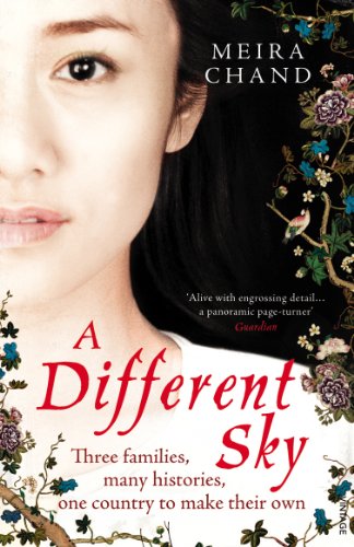 cover image A Different Sky