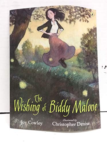 cover image The Wishing of Biddy Malone