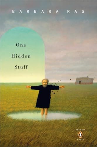 cover image One Hidden Stuff
