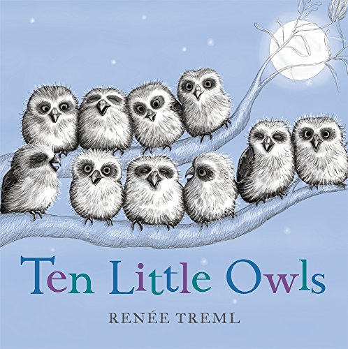 cover image Ten Little Owls