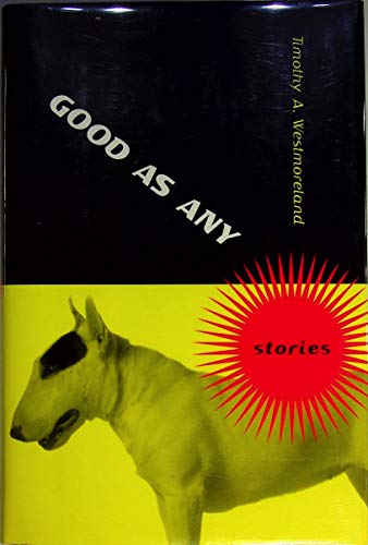 cover image GOOD AS ANY