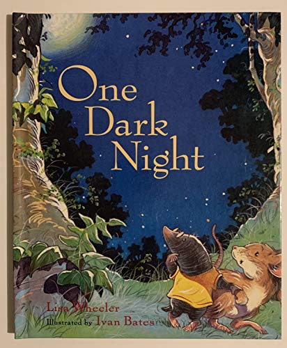cover image ONE DARK NIGHT