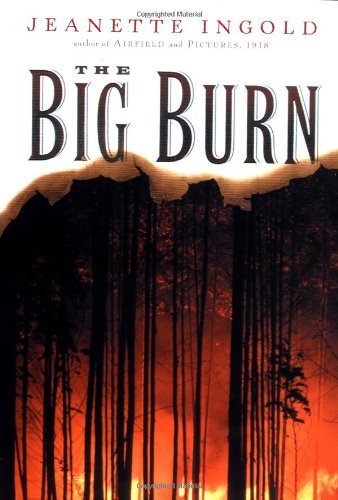 cover image THE BIG BURN