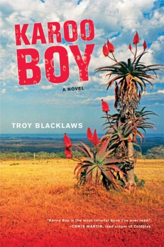 cover image Karoo Boy