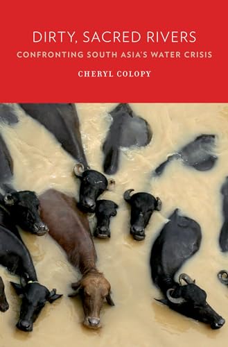 cover image Dirty, Sacred Rivers: Confronting South Asia’s Water Crisis 