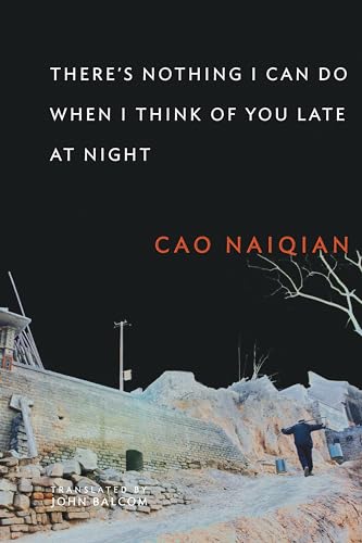 cover image There's Nothing I Can Do When I Think of You Late at Night