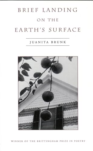 cover image Brief Landing on the Earth's Surface