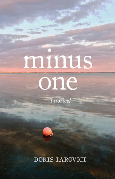cover image Minus One