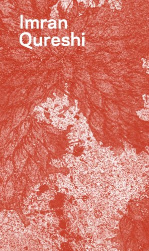 cover image Imran Qureshi: The Roof Garden Commission