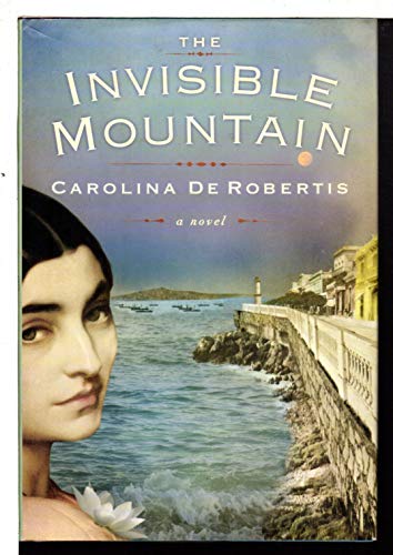 cover image The Invisible Mountain