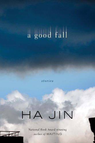 cover image A Good Fall