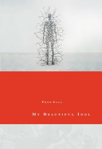cover image My Beautiful Idol