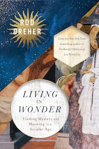 cover image Living in Wonder: Finding Mystery and Meaning in a Secular Age