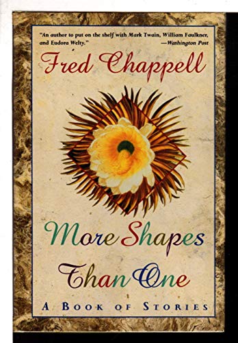 cover image More Shapes Than One