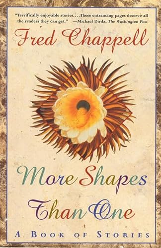 cover image More Shapes Than One