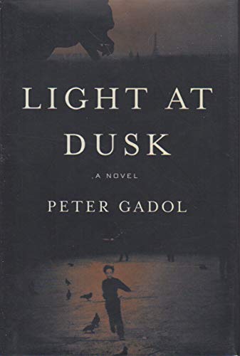 cover image Light at Dusk