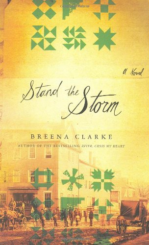cover image  Stand the Storm
