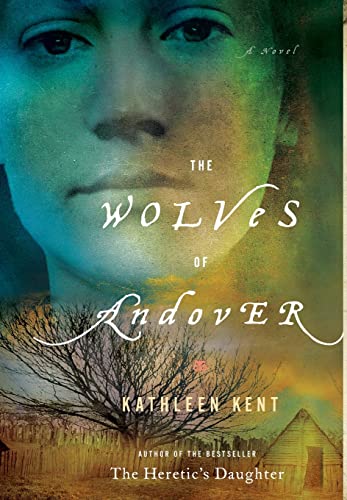 cover image The Wolves of Andover