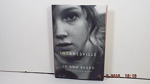 cover image In Zanesville