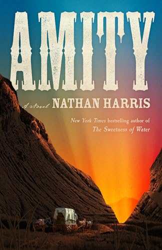 cover image Amity