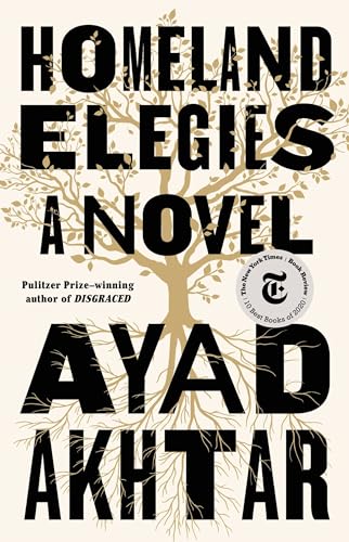 cover image Homeland Elegies