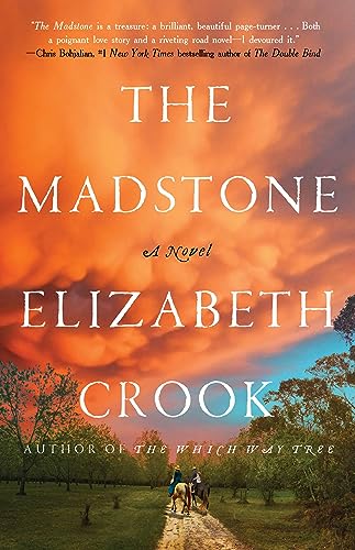 cover image The Madstone