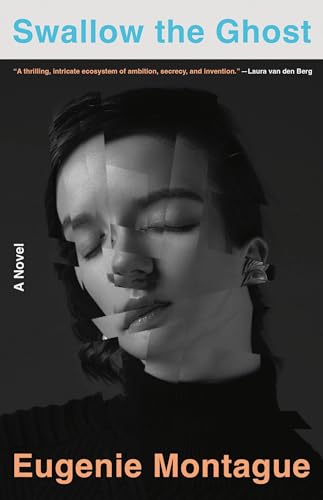 cover image Swallow the Ghost